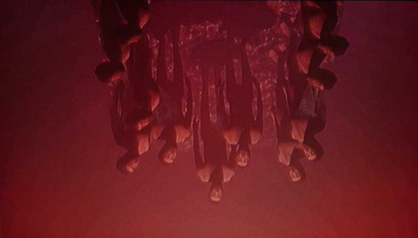 4f954744aaf64b45c80fe64eafe8834e