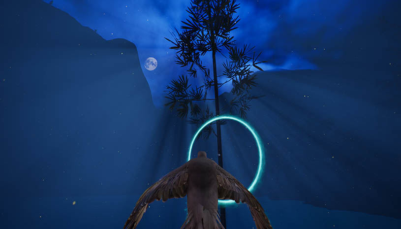 9e989b3e93af9c2d77bda3c95e6555c2