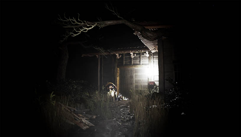 943f8a58918a4fb490c8920e3239e16d