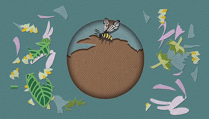 08c9cb5903b7989dc65a016d77270b31