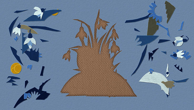 adf655a4e4057b343a345f02c557d56f