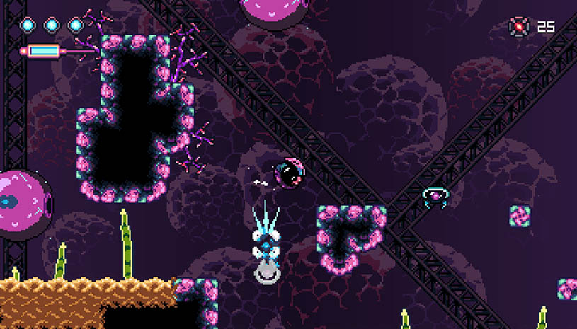 810b829a0853ed473090b1c2717c12bb