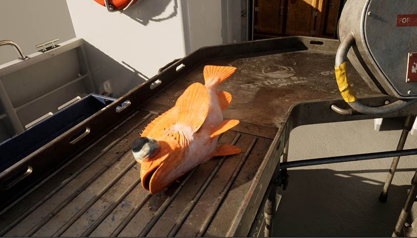 3d5782e089c9c5790a704614f8722619