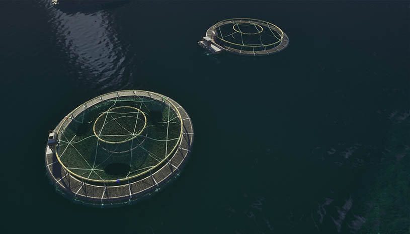 7b32e2afdce590bdb316a6ad5646afa5