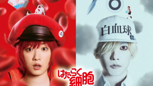 动漫杰作《工作细胞》真人电影新预告片确认将于12月上映
