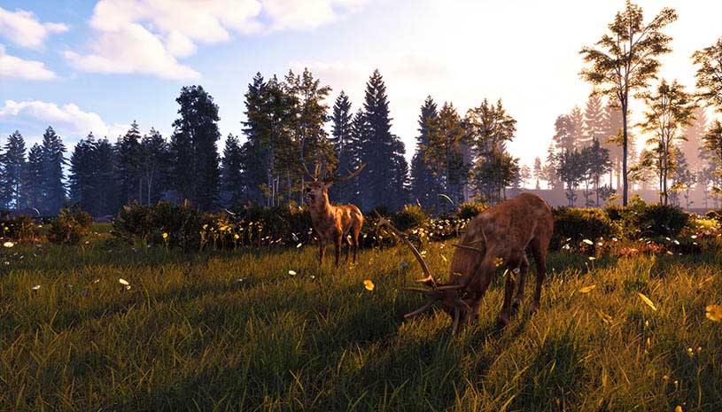 e53d11c9baf533add136cd8d7283306d