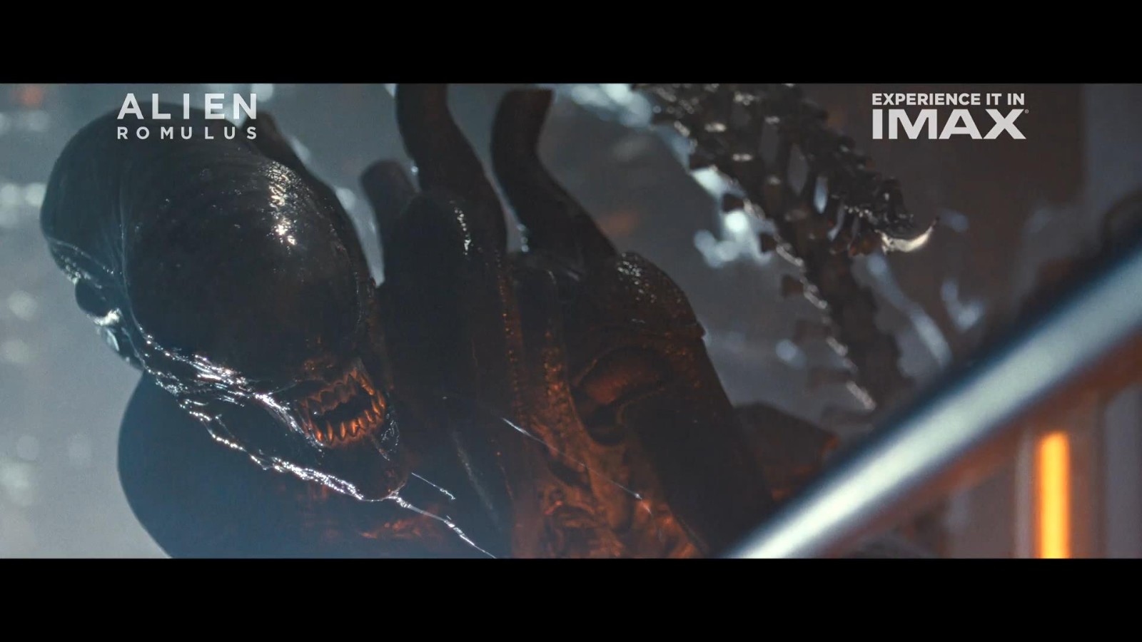 《异形：夺命舰》的新公告释放拥抱脸的蠕虫，以与人近距离接触
