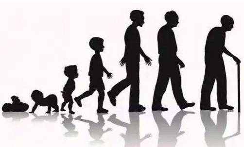 美国大学新研究预计将人类预期寿命延长至130岁
