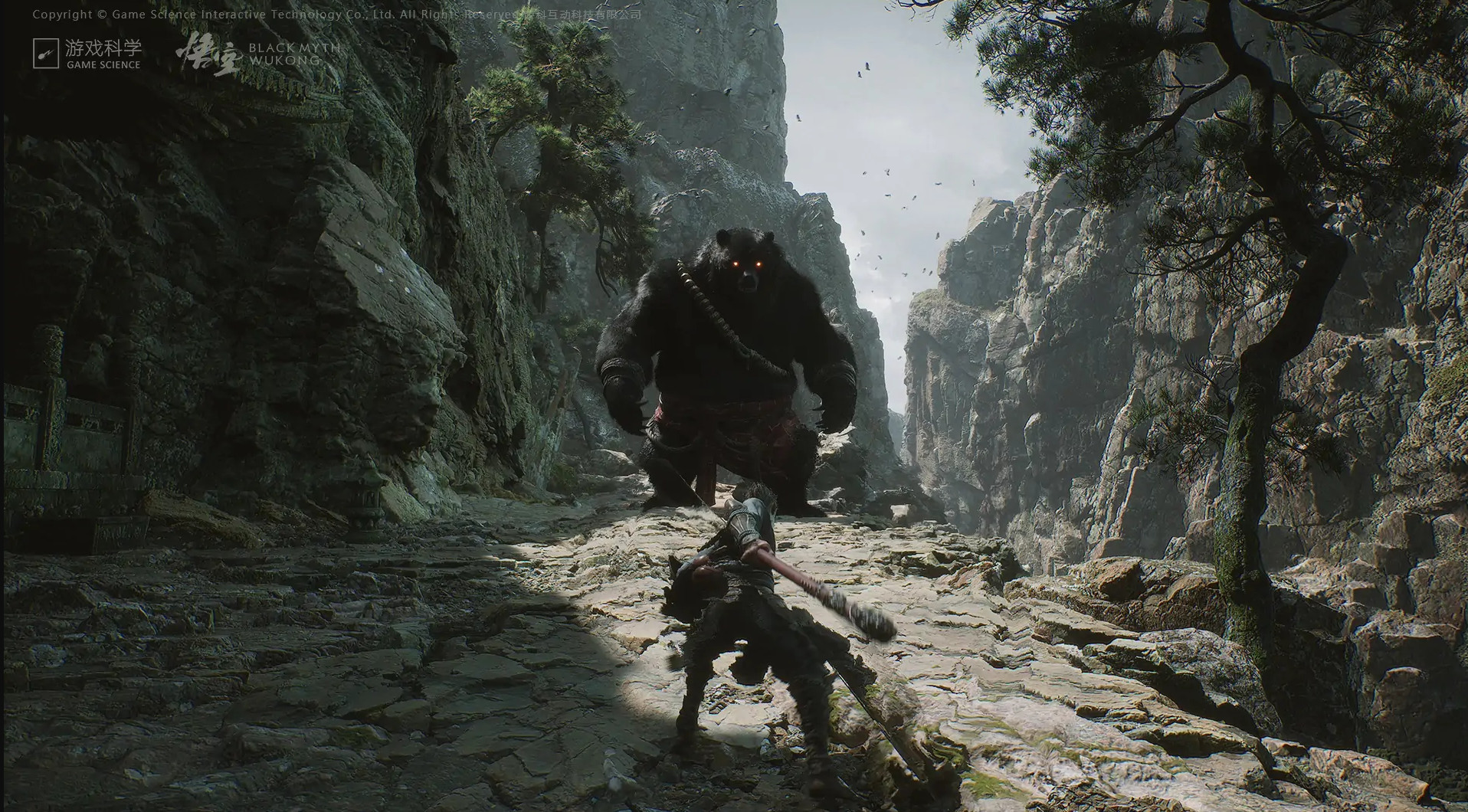 据传《黑神话》正式禁止外国UP大师在视频中宣传女子拳击，外国球员鼓掌
