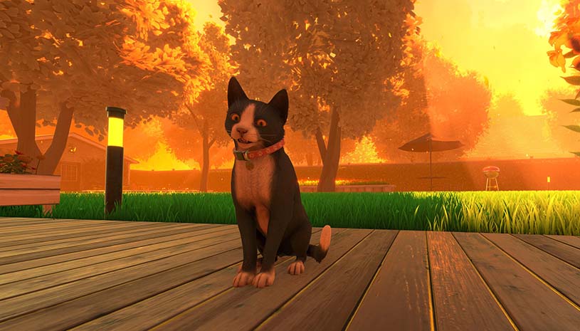 f7bf8cd2fd8bcfcee97496c695410f4f