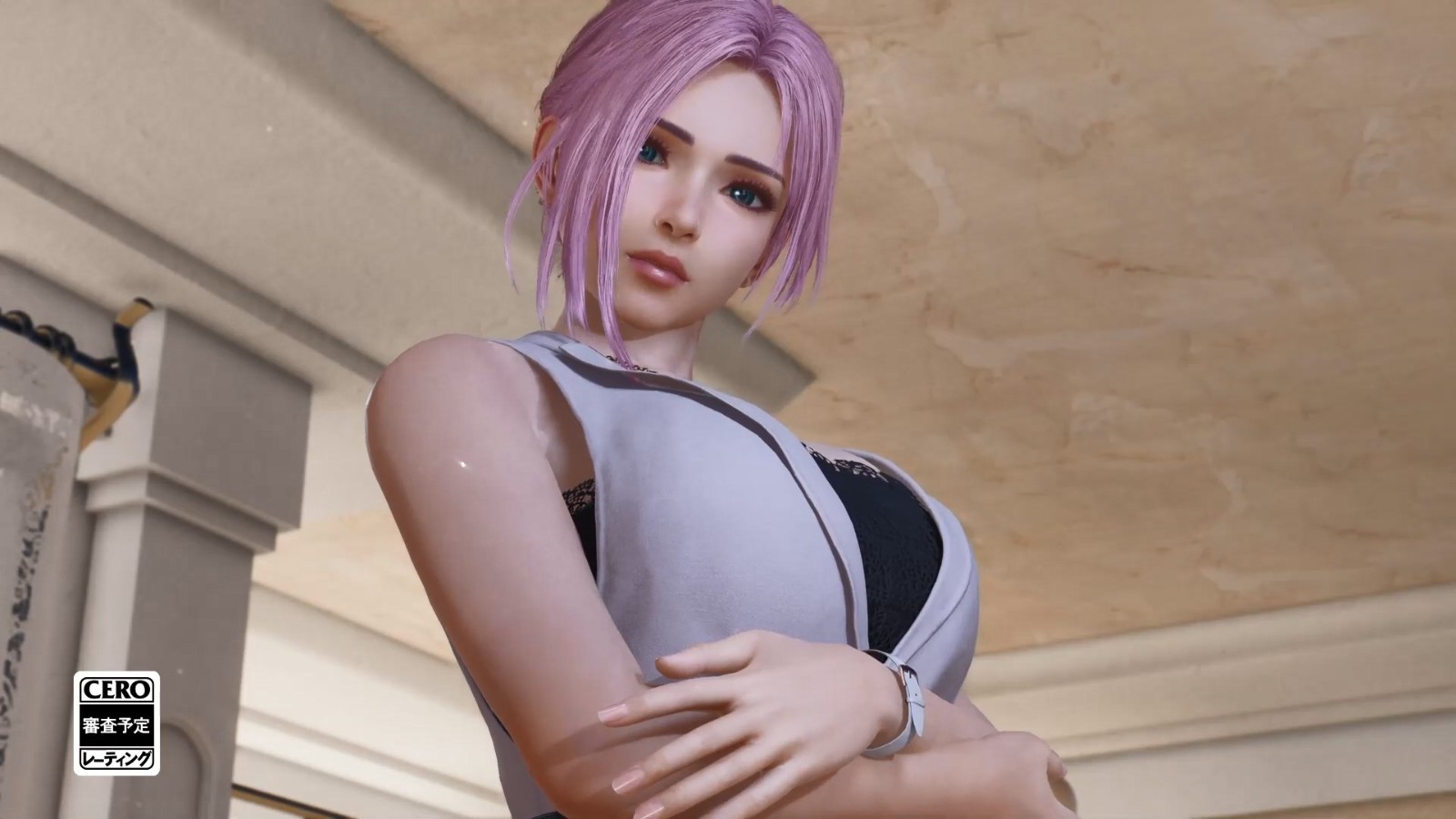 第三个出现在爱情模拟策略类游戏《维纳斯璀璨假期》中的女孩宣布：Elise
