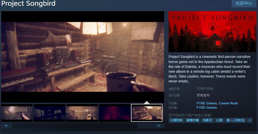 心理恐怖游戏《Project Songbird》Steam页面开放发布日期待定
