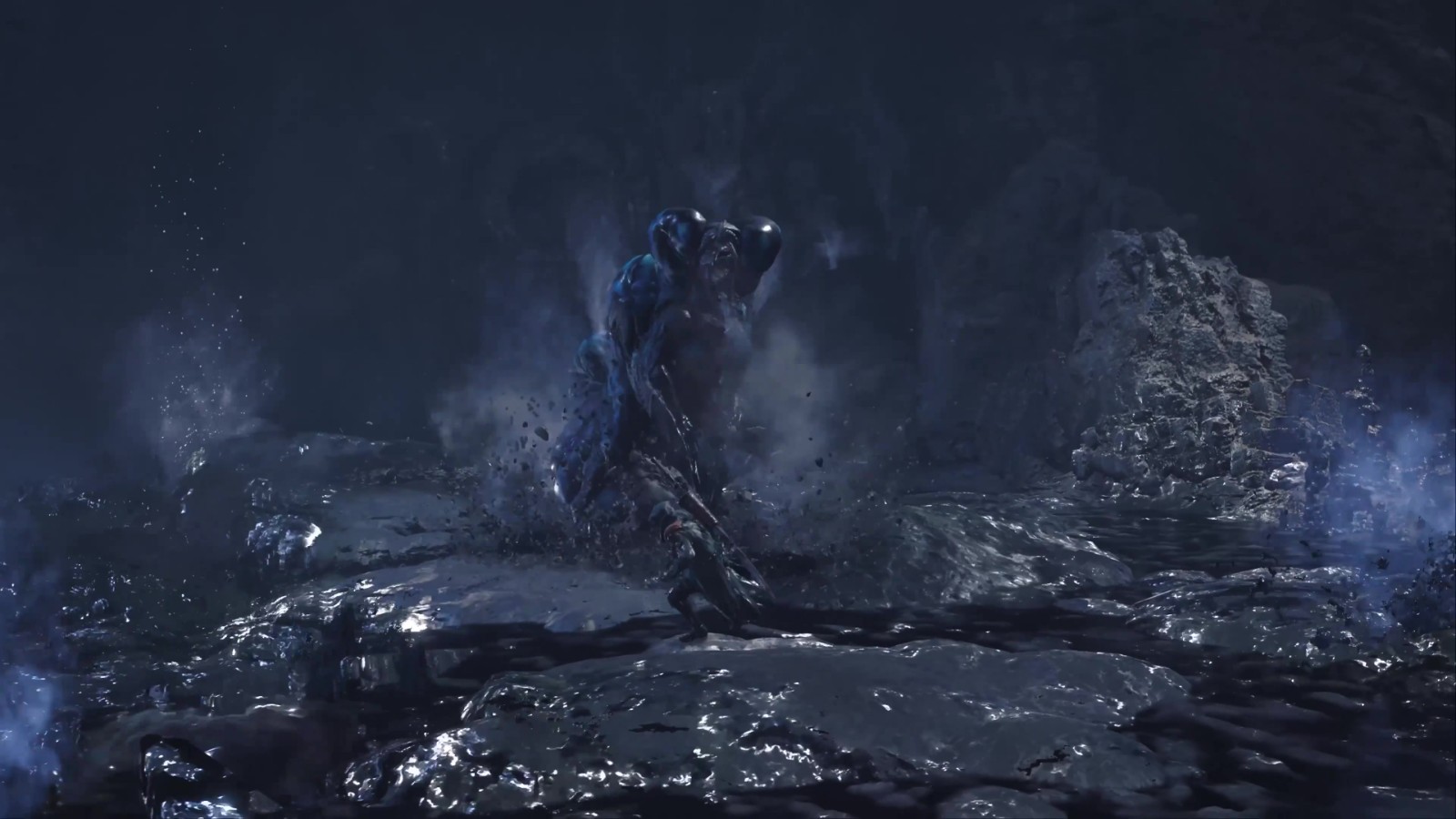 《怪物猎人：荒野》在整个节目中介绍了很多信息
