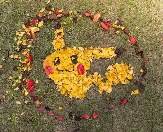 玩家用落叶创作神奇宝贝皮卡丘的抽象修复作品受欢迎
