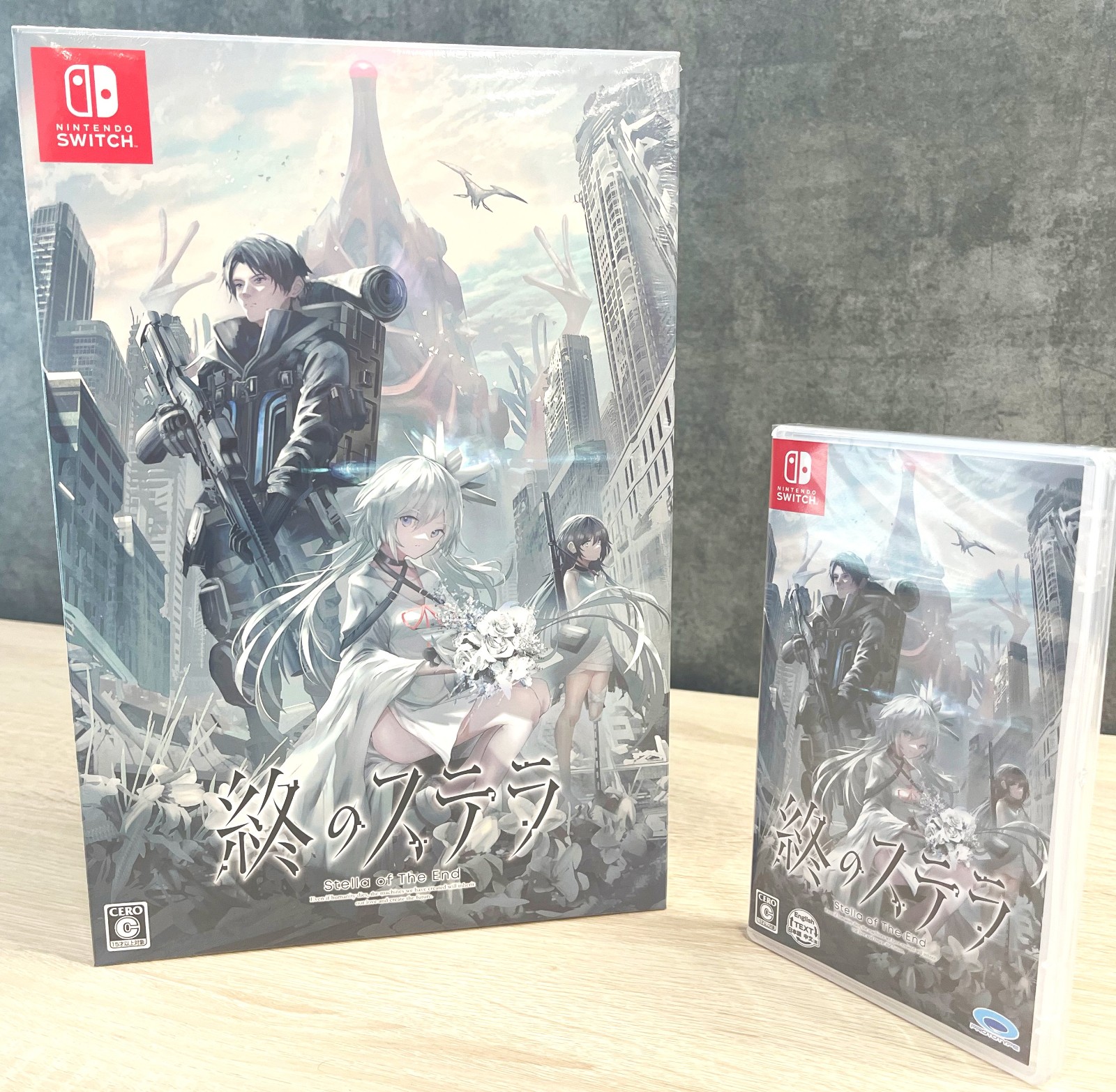 KeySocietyVisualNovel《星之终途》Switch版本正式发布并支持中文
