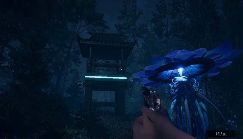 bf911e19908505ad30194747f484fb88