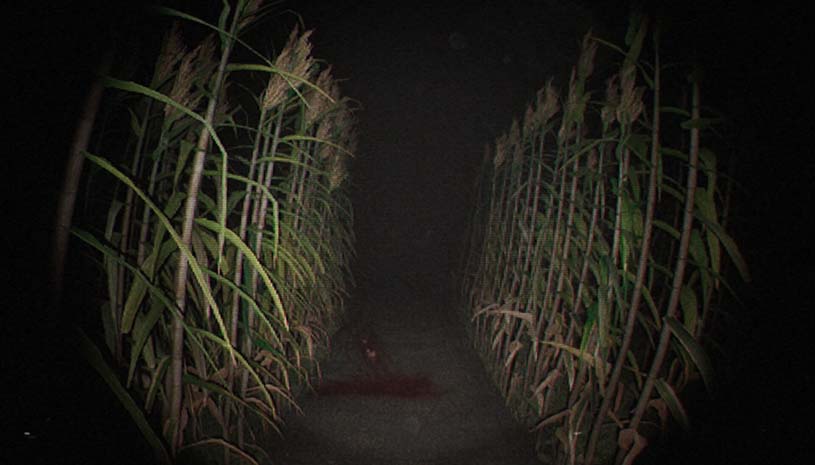 5a3bf33927fdbec4f5e7394eb6c850b9