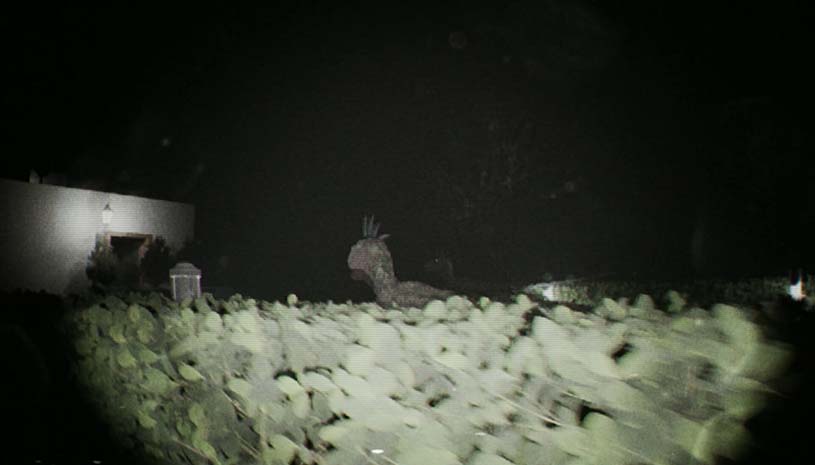 fc98f71181f9d79154e9225e60d54cf6