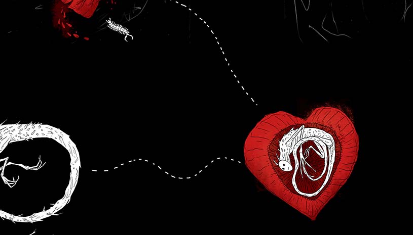 a8d88085587548c61a6115f379e79288