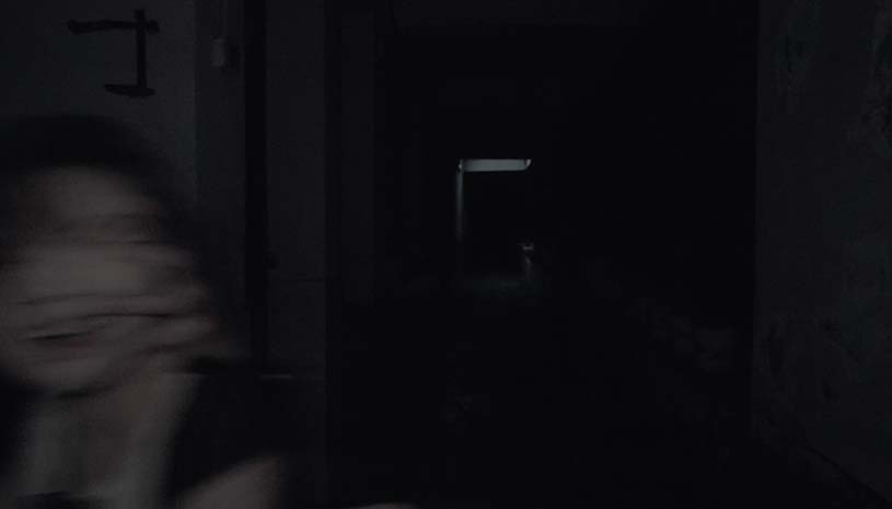 31109b62bdf3c005df8f6e811c703ef9