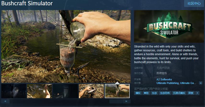 冒险游戏《Bushcraft Simulator》Steam页面发布日期待定
