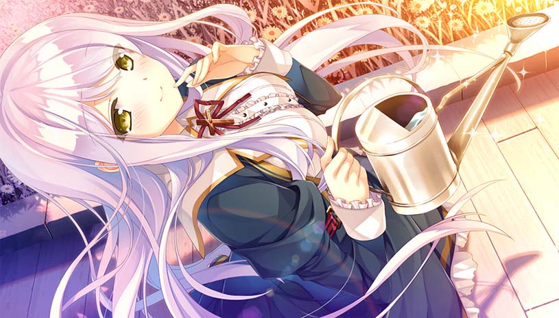 7ce954d92ed495a2167620afd6ebbdd9