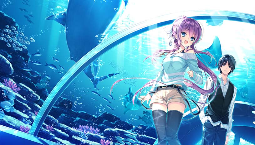 3ec0ce2a573f690356c18e6316021522