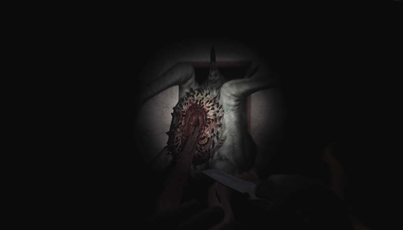 3b74d816f78d323ab5af82e3944fb06e