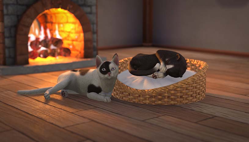 073f162da05c6fd99159379386b844cc