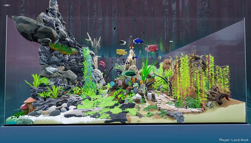 ed7284020d434338b481f629aed07090