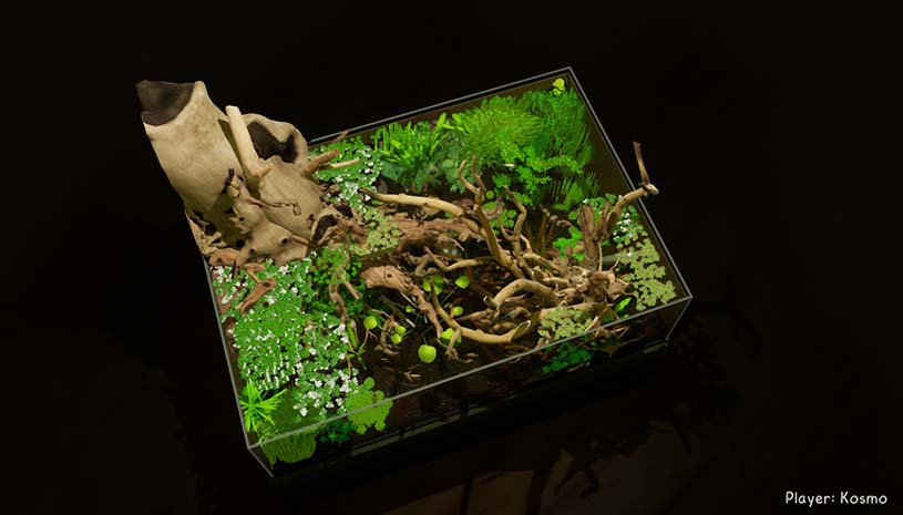 42e7549812e0c34c49215215c7a6c93d