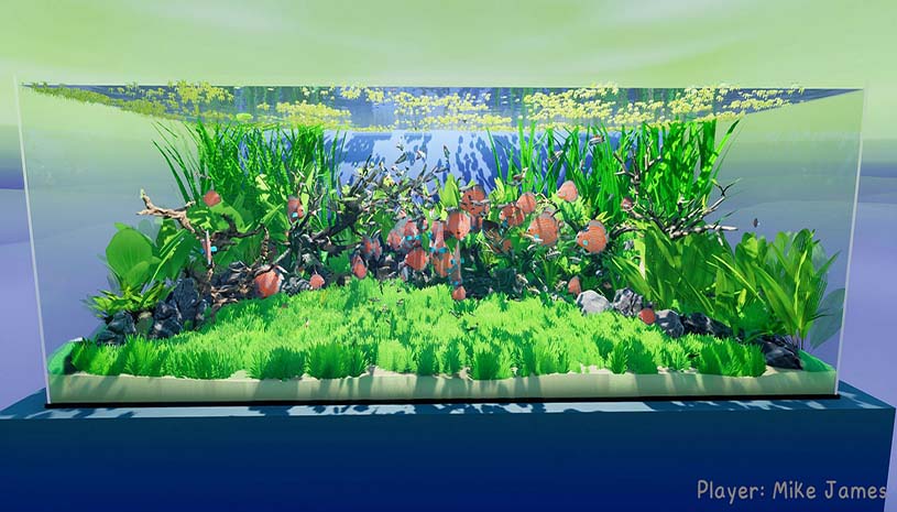 27aec7beab801d473c44c425cfe858ff