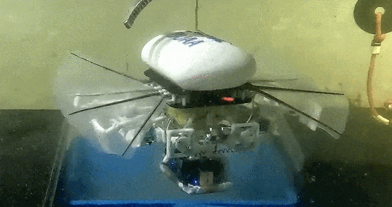 我国研制出一种重1.5公斤的小型机器人，可在一万米深海游泳
