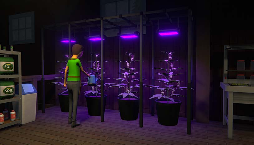 6305274cb794b0d195b9722cd63ddcaa