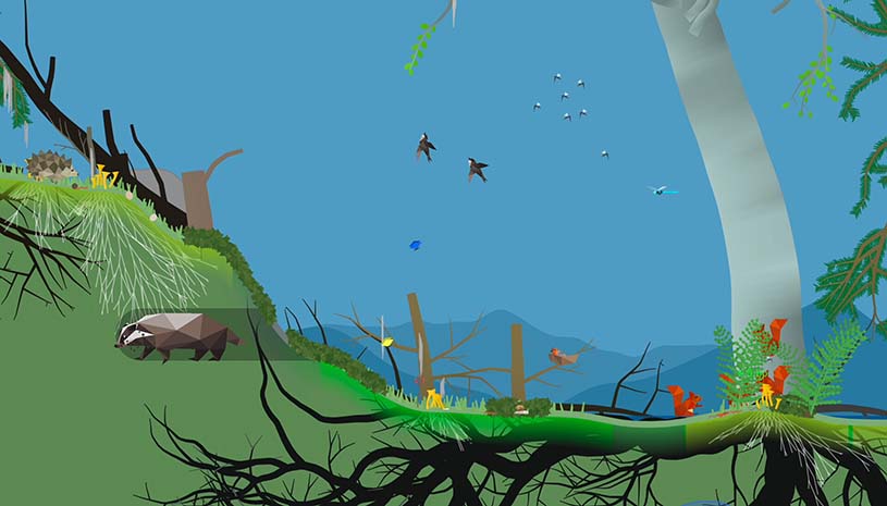 ce1afc01e964092e86c33d47168e2cde