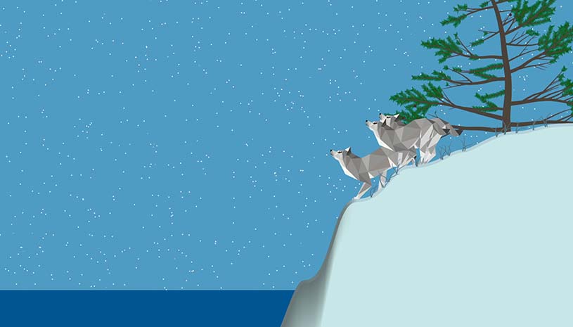 3444ce4d2cb75fdc09ad7d90cb2d34b3