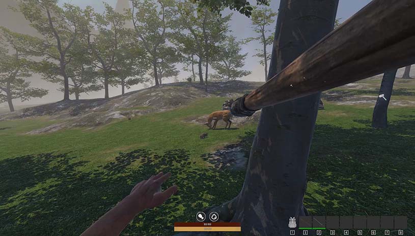 1447319de7814638cb7931760c9d73e3