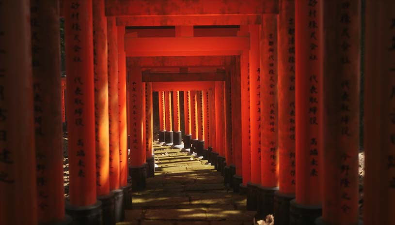 cb12b4ed7e916c95f181485591b739f2