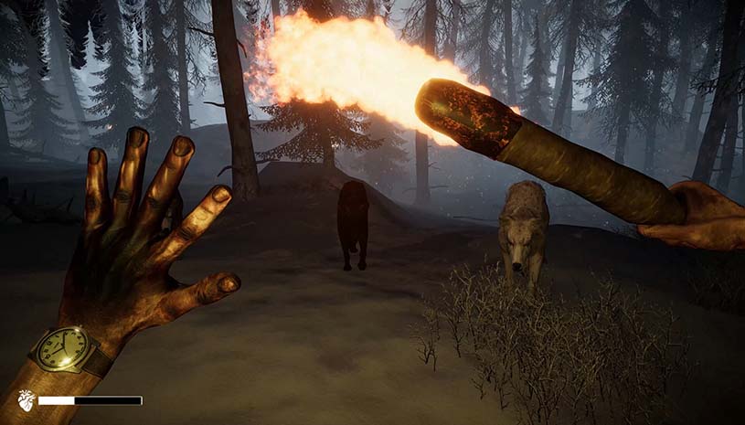 9ee02325350848b9aecd86a284d68f20