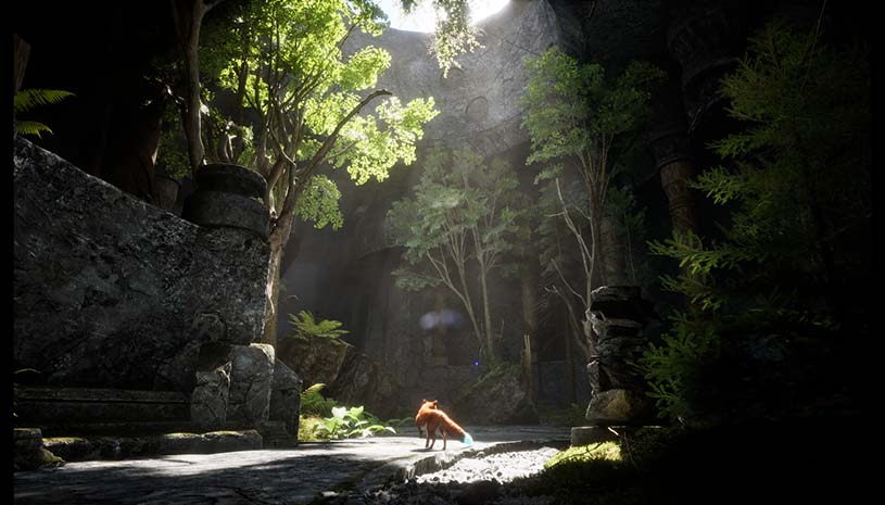 74349f6c9726c2e918aeaccb524b4736