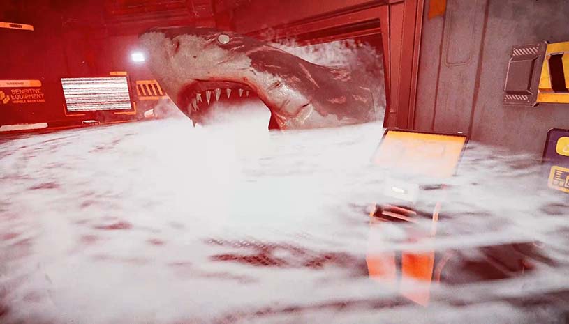 c38602a5b93a8dfaef477e0ffb805c03