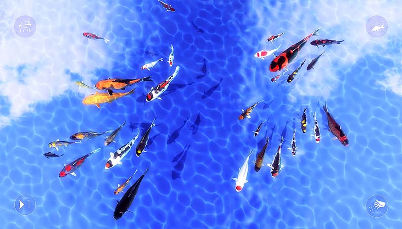 656fe7caafd89462f78cfd837263e60d