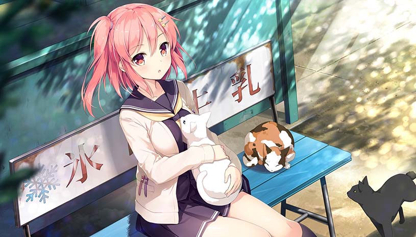 5d82dc0145212420515512765bc7a8a4