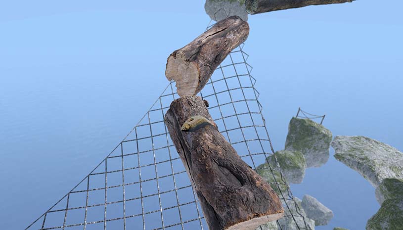 fe2347e2e6199ecfce4584c1fe4ce09a