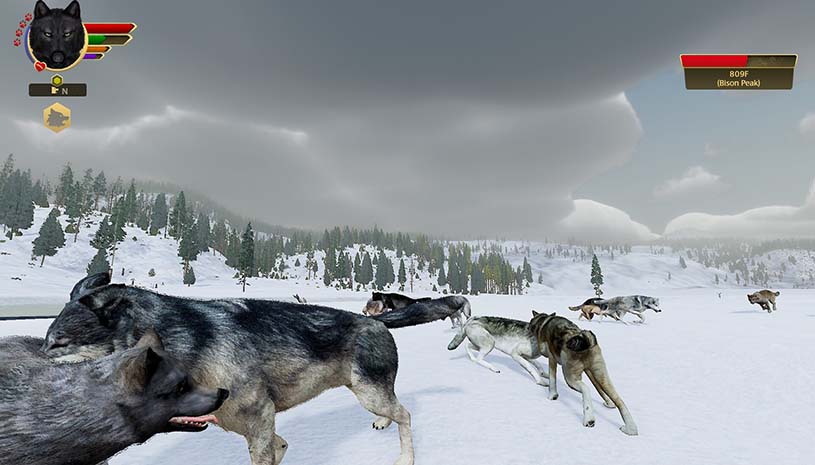 野狼谜踪：周年纪念版 / WolfQuest: Anniversary Edition v2.0.2 游戏截图 70a7070e905cd0f9737c4add48192ade