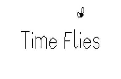 逝者如斯蝇 / Time Flies