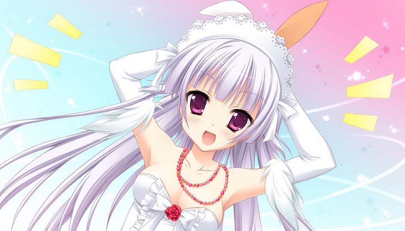 8d050b3140c2e49f5a1910ecae30fd01