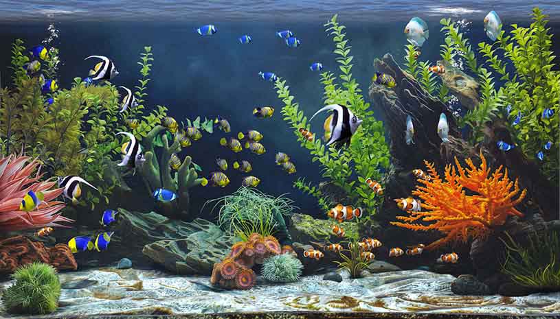 90dd9952493db63cf81da80c55526c7e