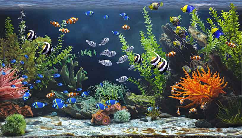 76f0239f9b7a825c24068f553f91797e