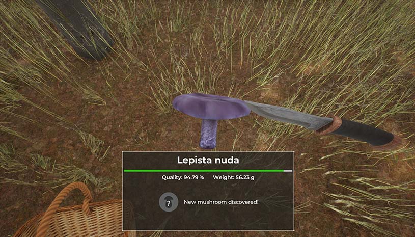 5aaf1c1d41a871231d355086cb83b896